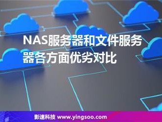 nas区别