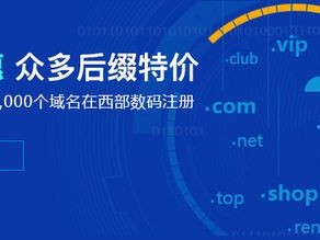 Networksolutions购买）