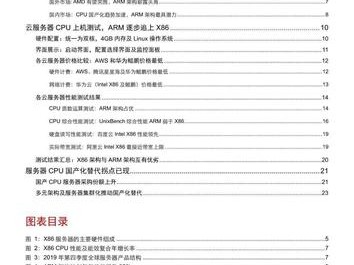 +报告