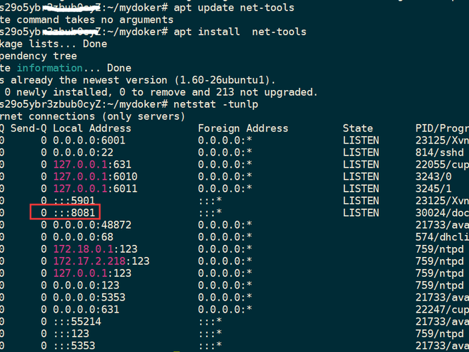中安装nginx