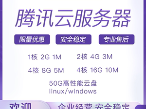 独立公网ip吗