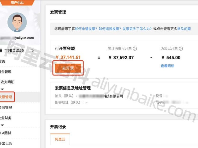 的费用入账科目是