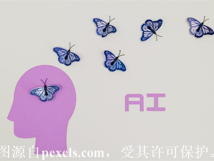 租用得多少钱一个月