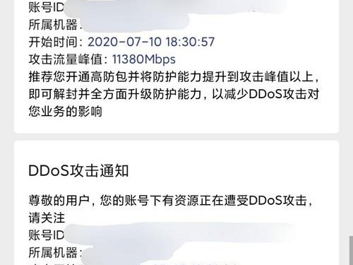 小鸟呗攻击了