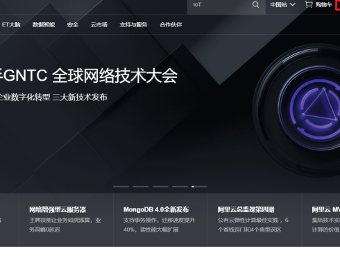 入口官网