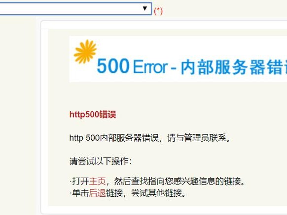 业务出现内部错误