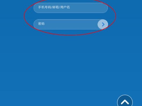 在手机里面吗