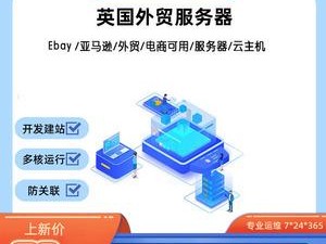 国外）