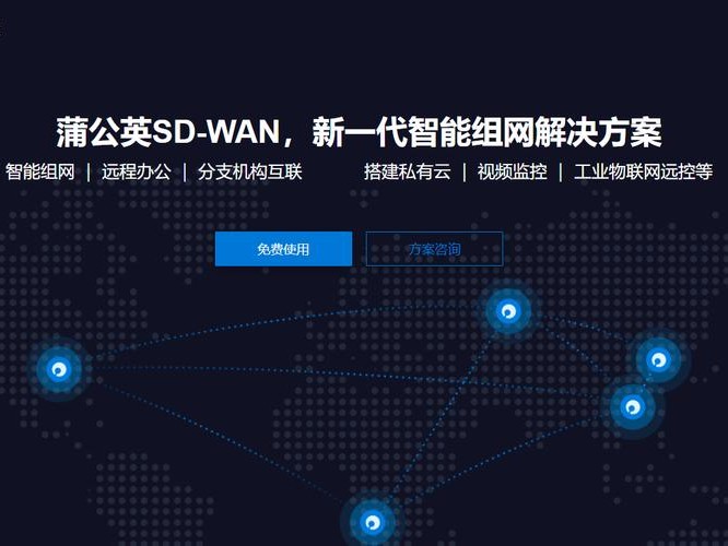 异地组网软件