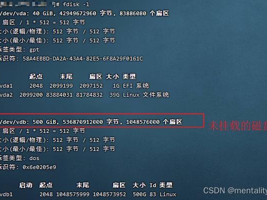 华为磁盘挂载