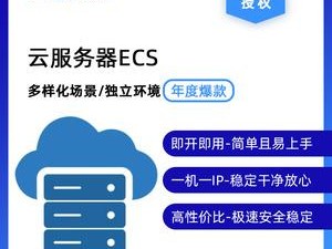 天翼端口