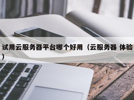 试用 体验）