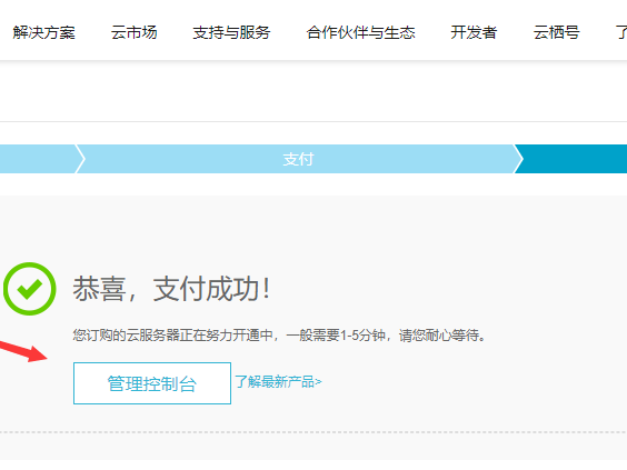 买阿里怎么付款吗