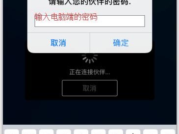 安娜尔阿里
