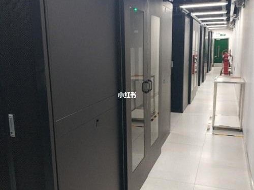梦飞美国
