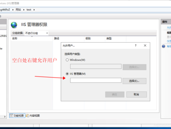 阿里找到iis