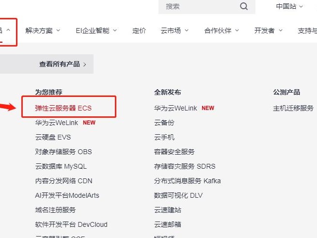 是否加购域名
