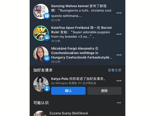 捷克延迟时间