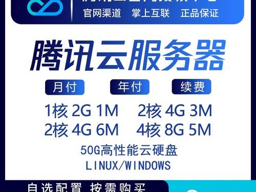 ecs怎么维护