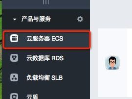 可以浏览器登录吗