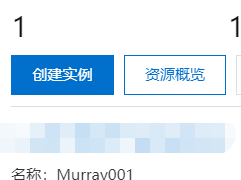 ecs查看ip