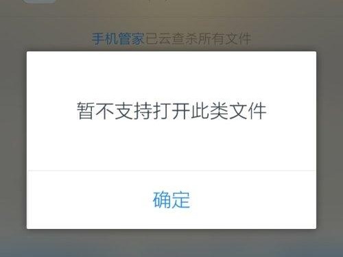 禁止程序打开文件