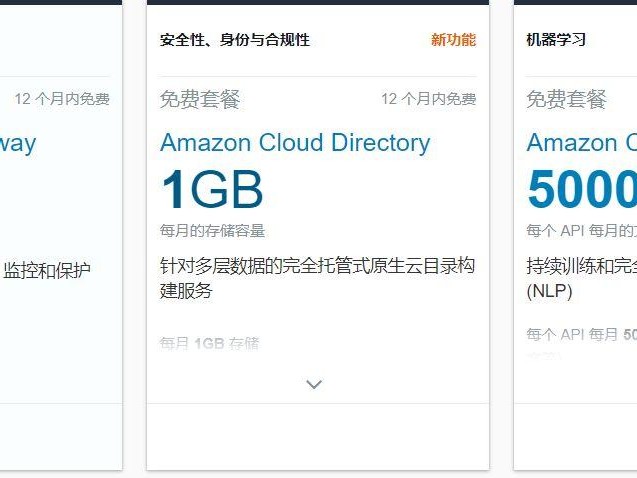 亚马逊要用吗