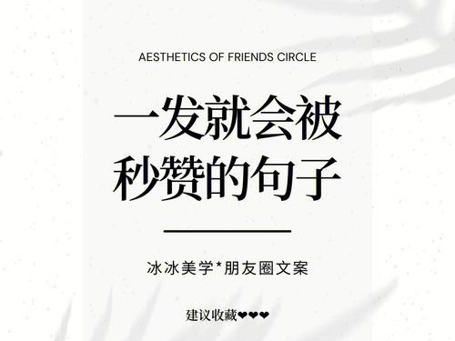 天天秒赞