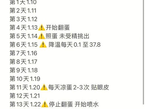 包含怎样小鸡生小鸡的词条