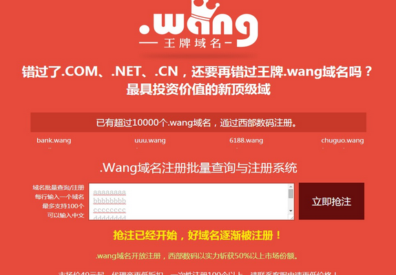 wang域名需要实名吗