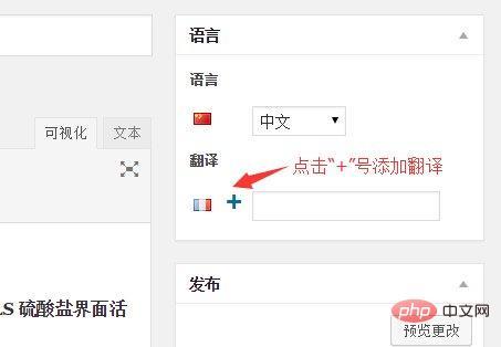 设置wordpress多语言导航的方法