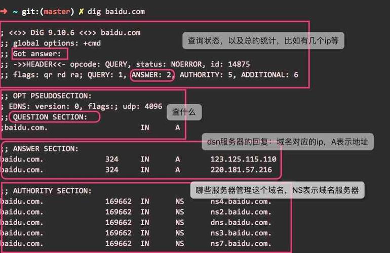 Linux系统中nslookup和dig的安装及使用（linux nslookup命令详解）