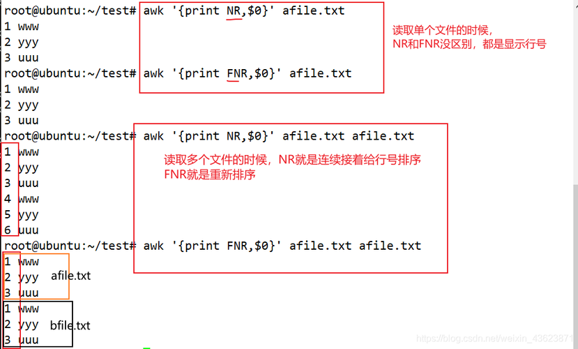 Linux之awk基础编程的使用示例（linux awk用法）