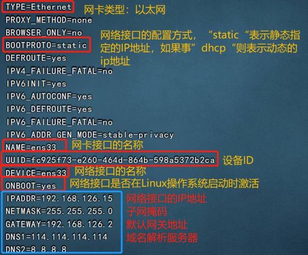 linux中data属于什么文件（linux中data的功能什么）