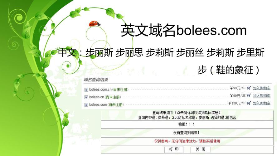 域名用英文怎么说(域名用英文怎么说呢)