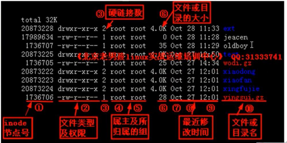 Linux文件系统类型是什么（linux的文件系统类型）