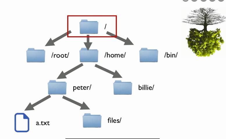 linux相对路径如何写（linux相对路径写法）