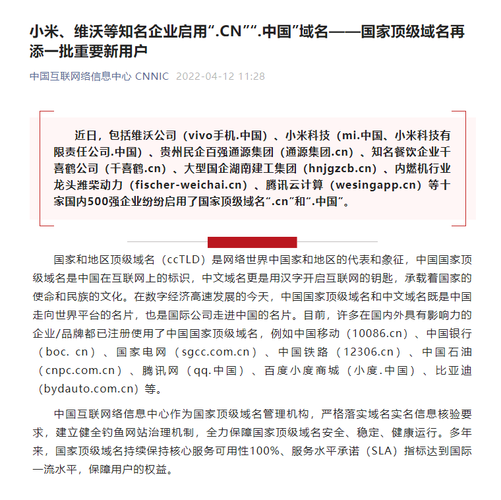 什么是中国的顶级域名(什么是中国的顶级域名呢)