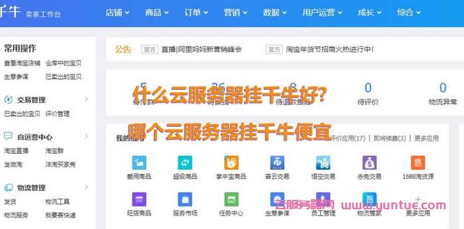 挂淘宝云服务器怎么选择