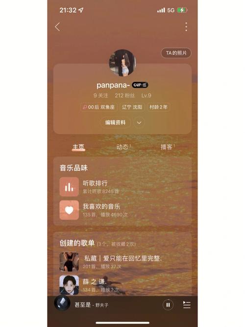 网易云暂停新疆服务器