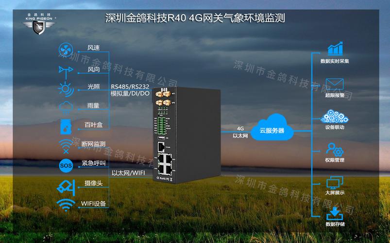 vps服务器搭建云免