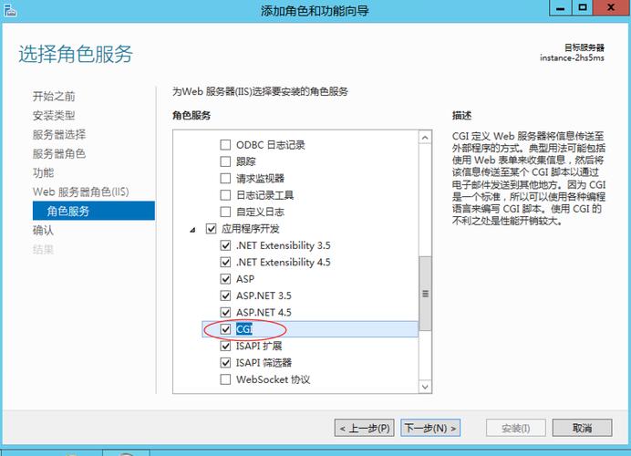 云服务器里安装程序