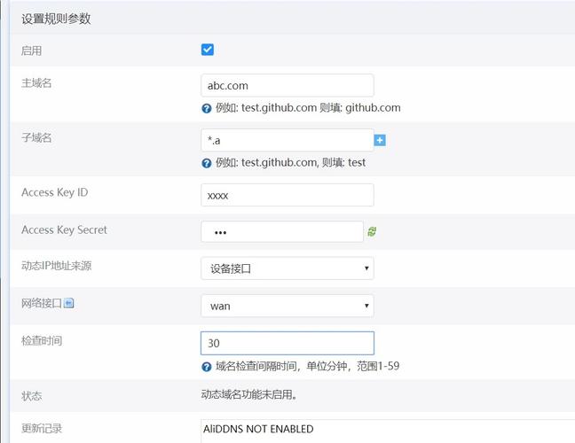 阿里云服务器iis泛域名绑定