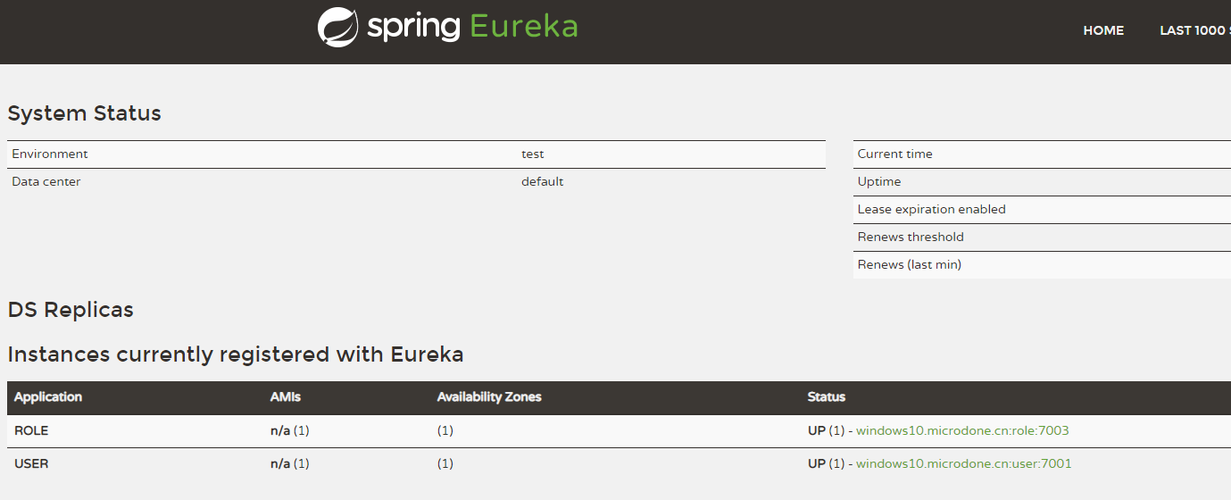 Eureka介绍与使用