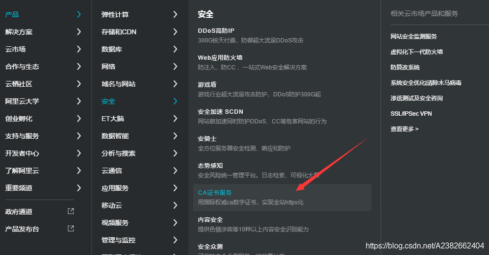 阿里云轻量级服务器ss
