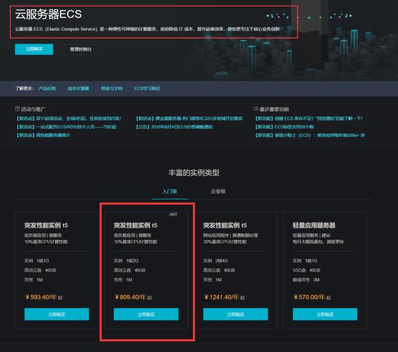 云服务器info的域名