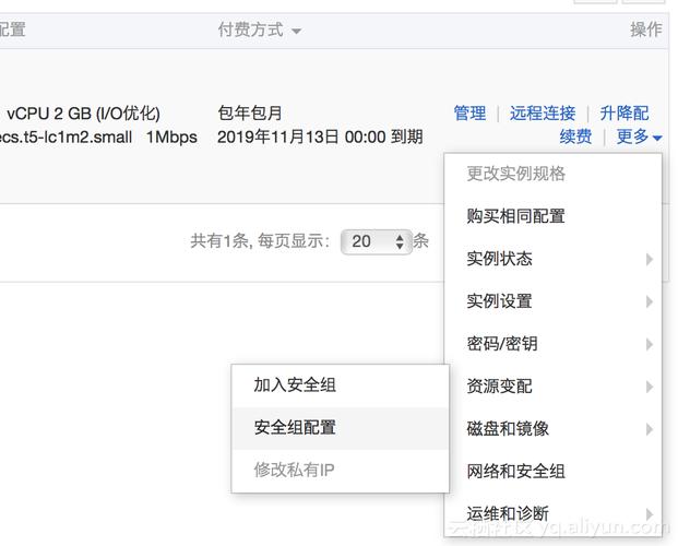 通过ip地址访问阿里云服务器