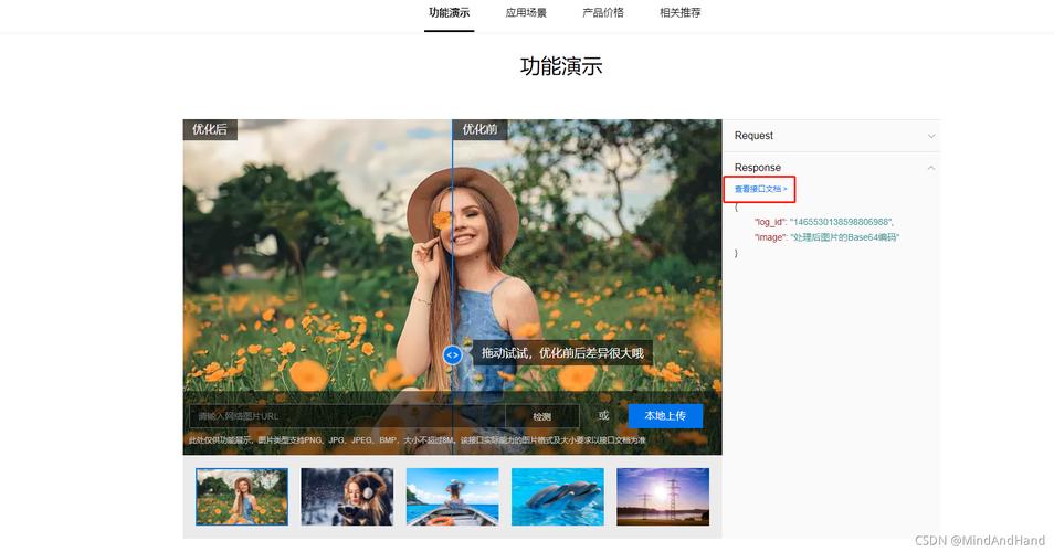 图像增强与特效-API调用实践-百度AI
