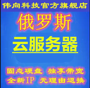 俄罗斯云服务器厂商名称