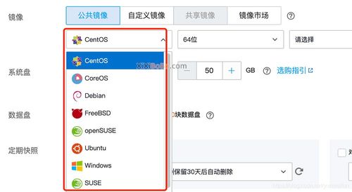租用云服务器的镜像软件